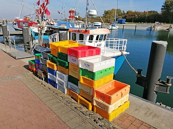 Fischer in der Marina